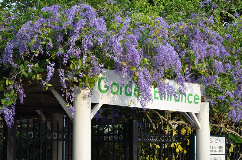 Mounts Botanical Garden Hours